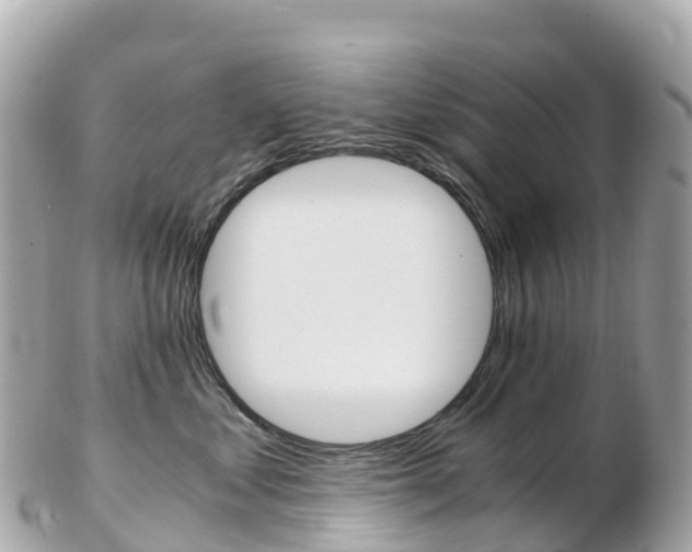 X0000103310621200808291154