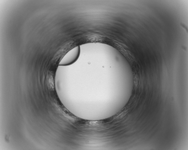 X0000103310622200808291154
