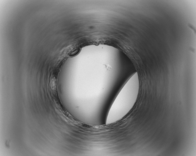 X0000103310623200808291154