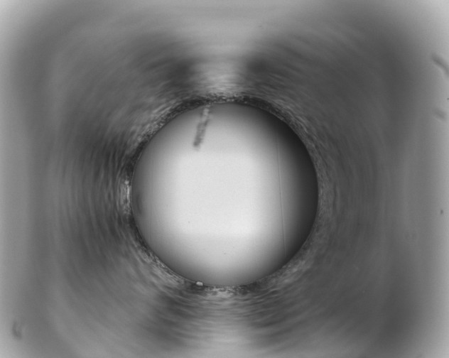 X0000103310624200808291154