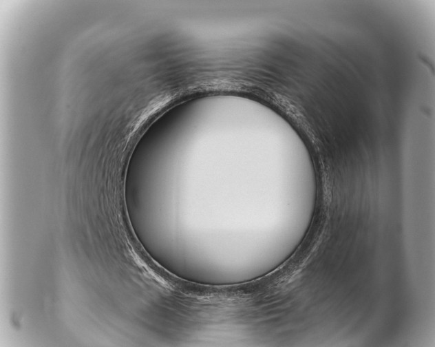 X0000103310625200808291153