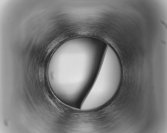 X0000103310626200808291153