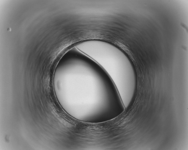 X0000103310627200808291153