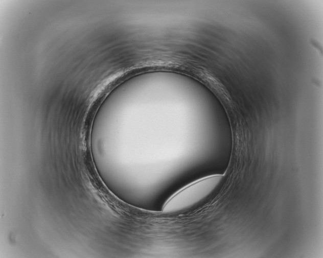 X0000103310628200808291153