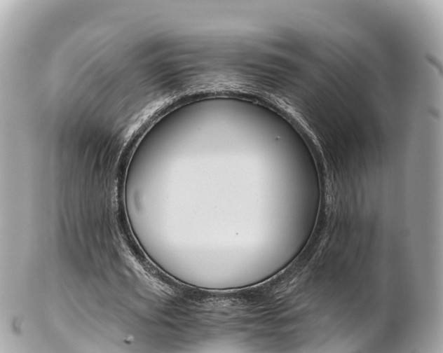 X0000103310629200808291153
