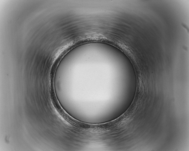 X0000103310630200808291153