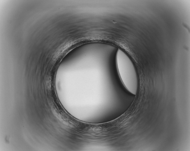 X0000103310631200808291153