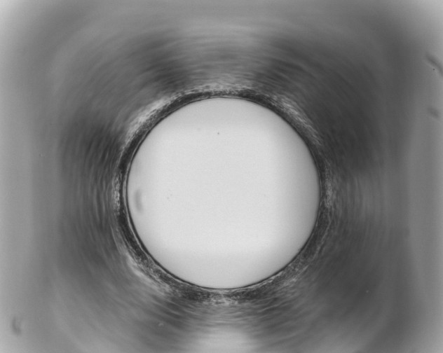 X0000103310632200808291153