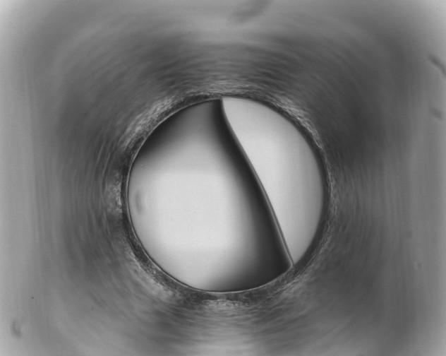 X0000103310633200808291153