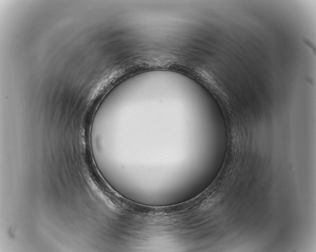 X0000103310634200808291153