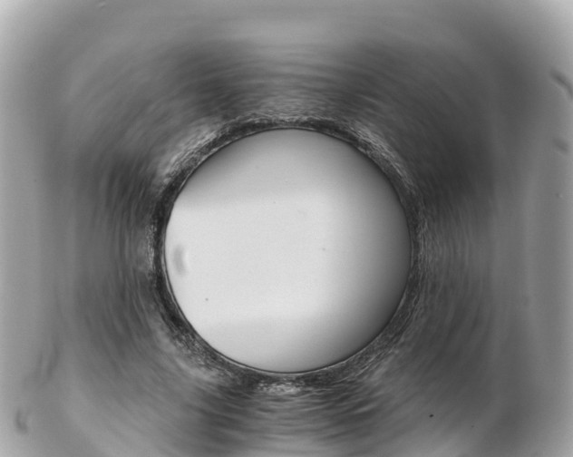 X0000103310635200808291153