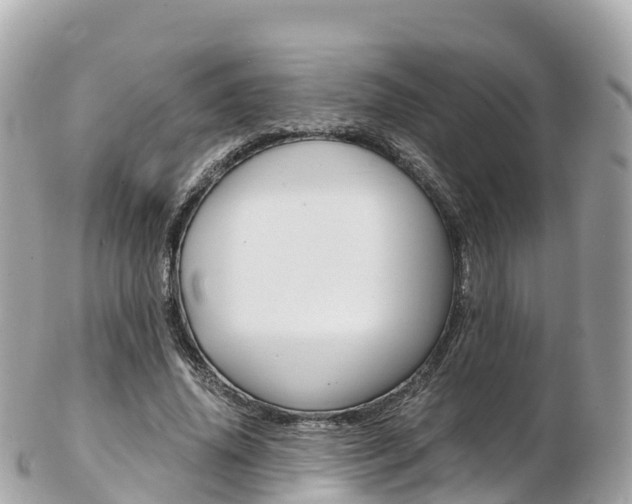 X0000103310636200808291153