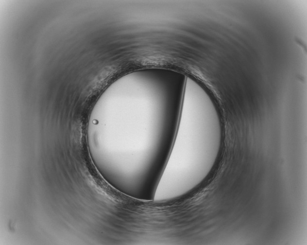X0000103310637200808291153