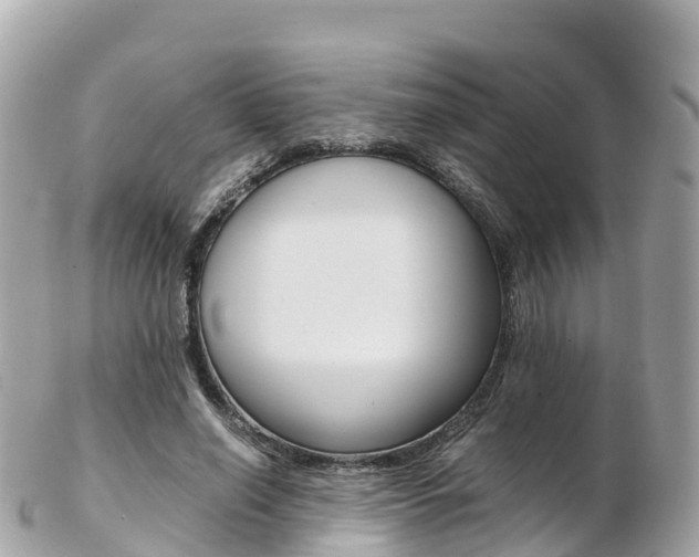 X0000103310638200808291153
