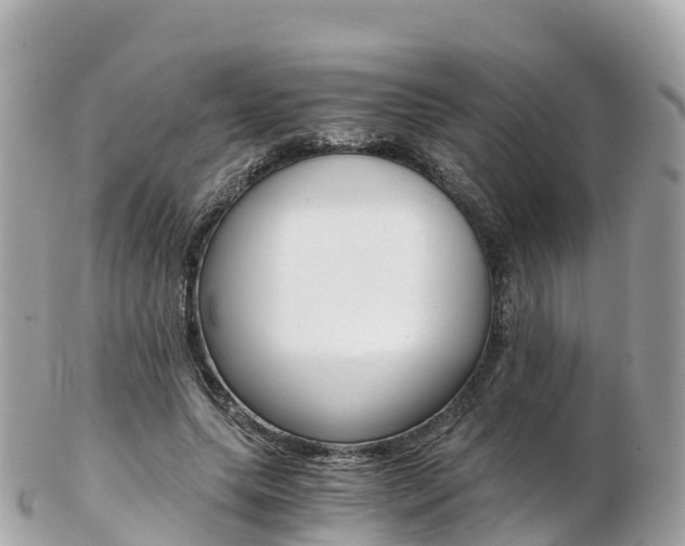 X0000103310639200808291153