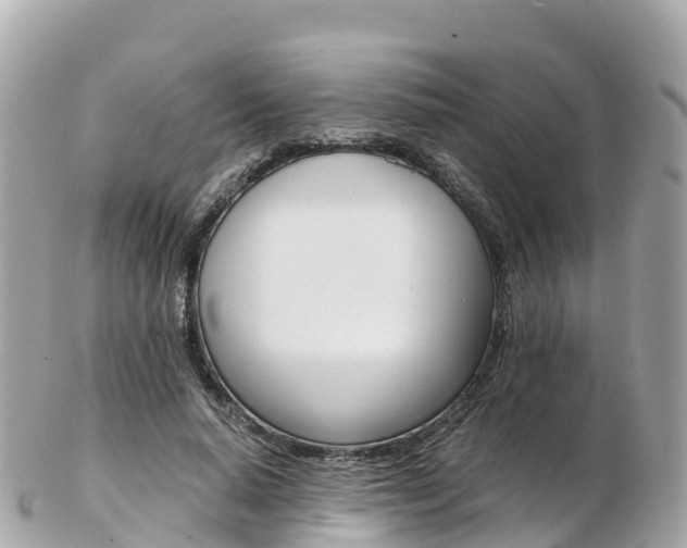 X0000103310640200808291153
