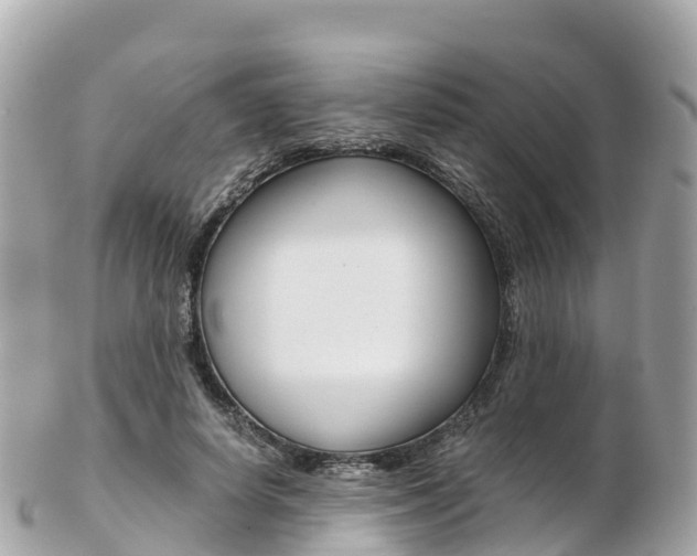 X0000103310642200808291153