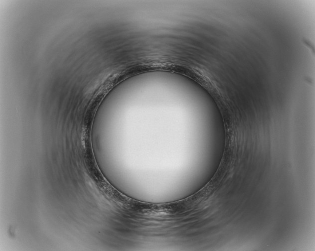 X0000103310643200808291153