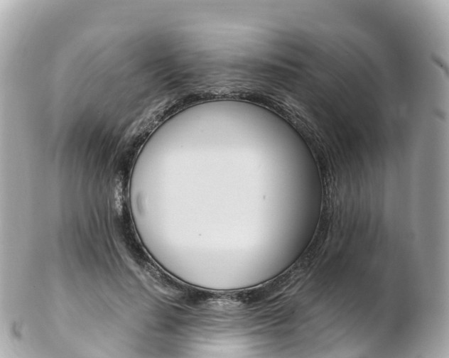 X0000103310644200808291153