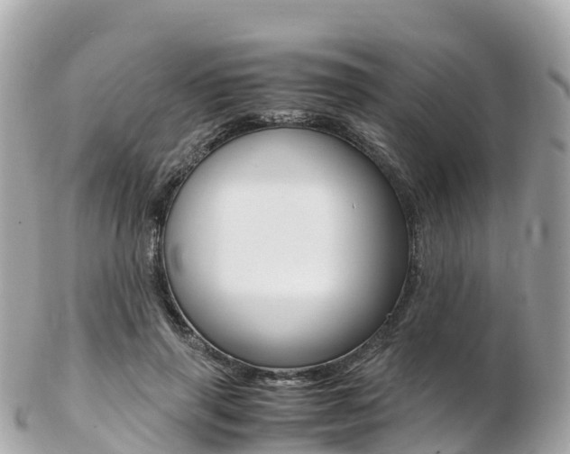 X0000103310645200808291153