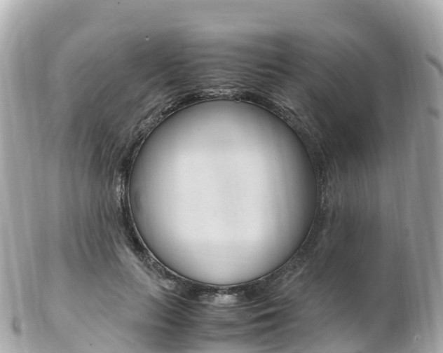 X0000103310647200808291153