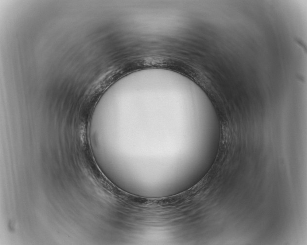 X0000103310648200808291153