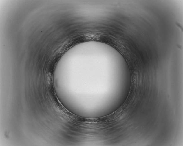X0000103310649200808291153