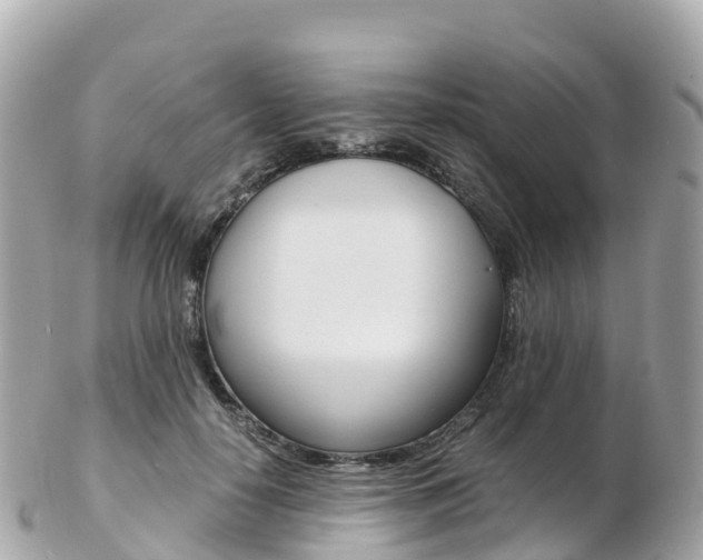 X0000103310650200808291153