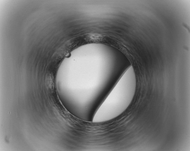 X0000103310651200808291153