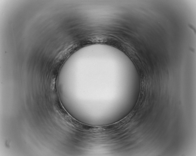 X0000103310652200808291153
