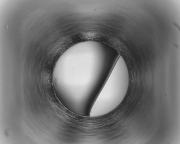 X0000103310653200808291153