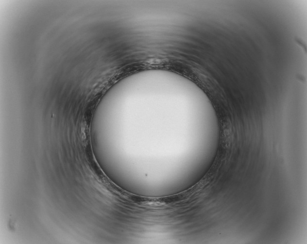 X0000103310654200808291153