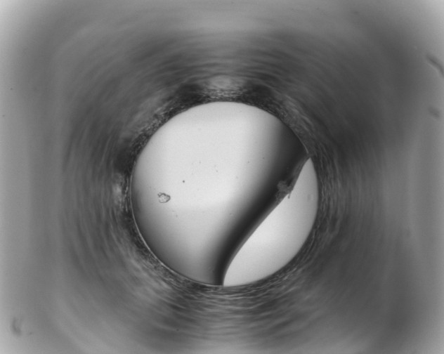 X0000103310655200808291153