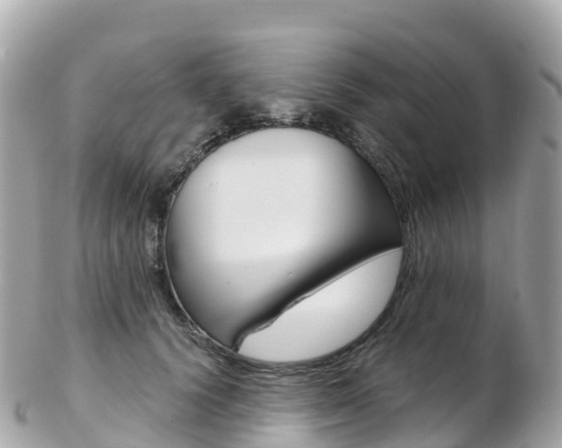 X0000103310656200808291153