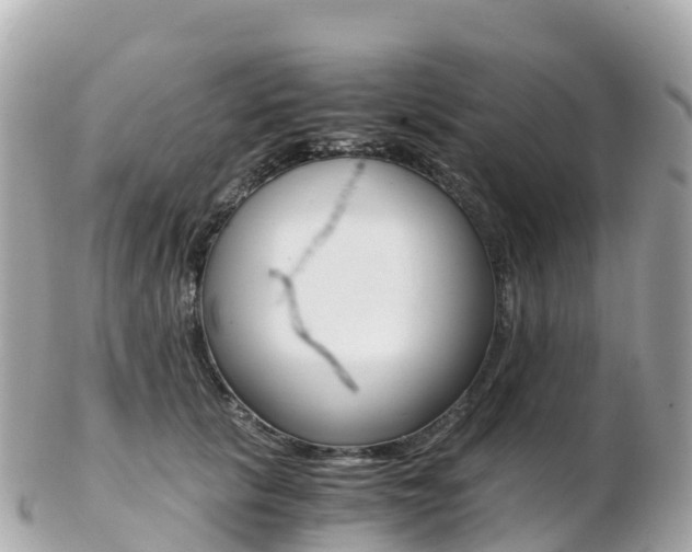 X0000103310657200808291153