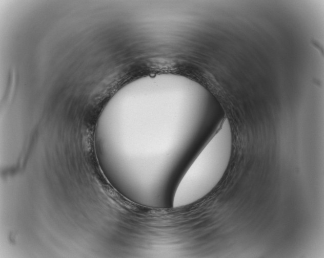X0000103310658200808291153