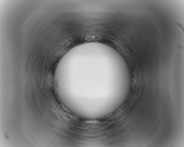 X0000103310659200808291153