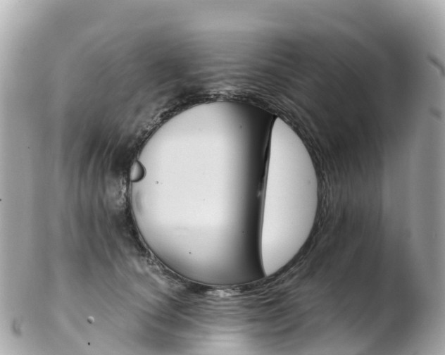 X0000103310660200808291153