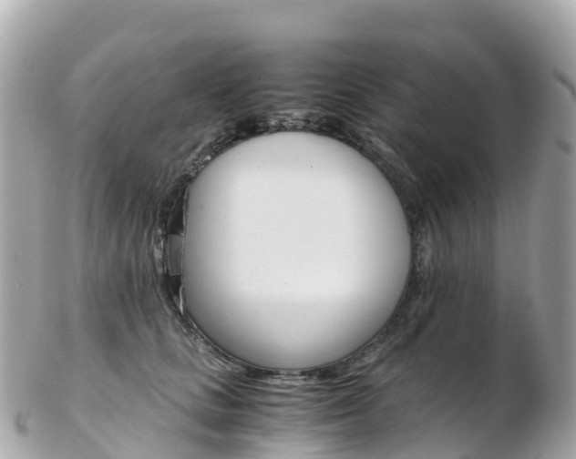 X0000103310661200808291153