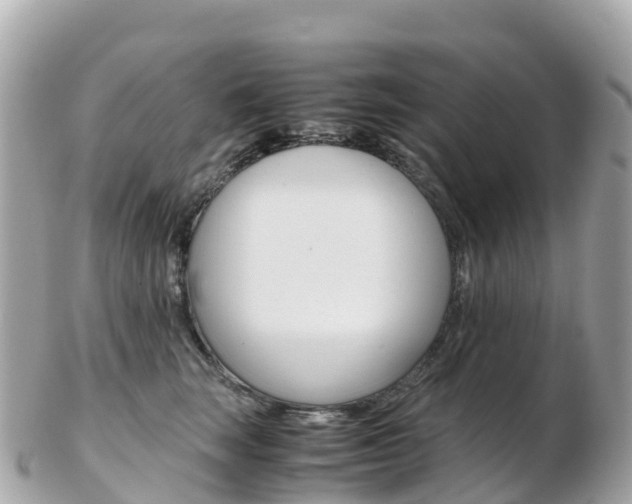 X0000103310663200808291153