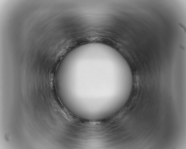 X0000103310664200808291153