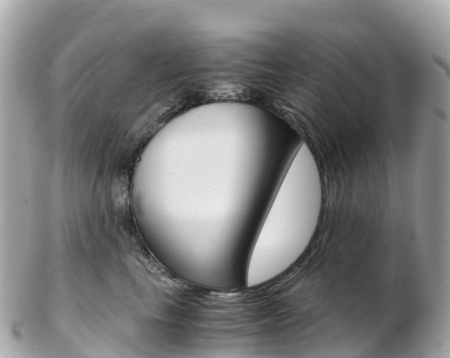 X0000103310665200808291153