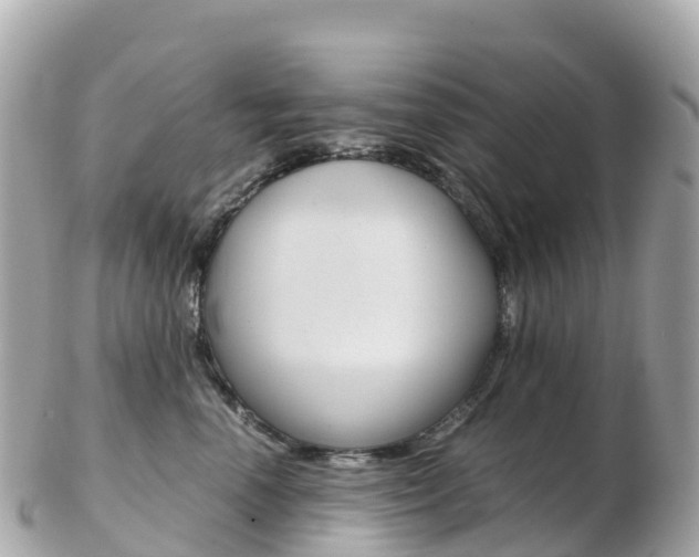 X0000103310666200808291153