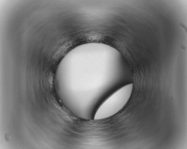 X0000103310668200808291153