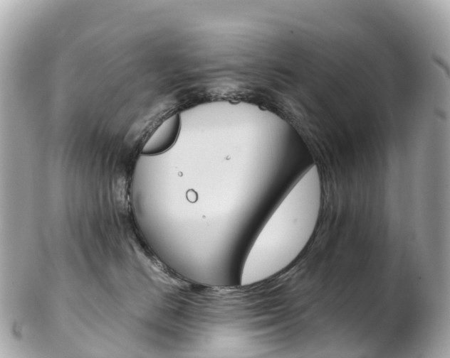 X0000103310670200808291154