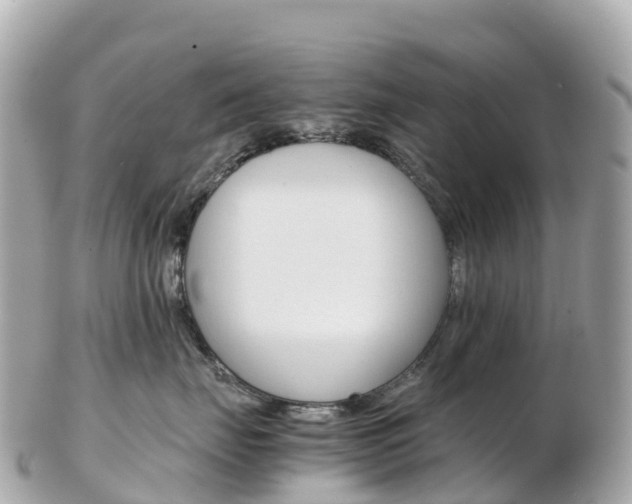 X0000103310671200808291154