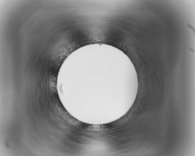X0000103310672200808291154