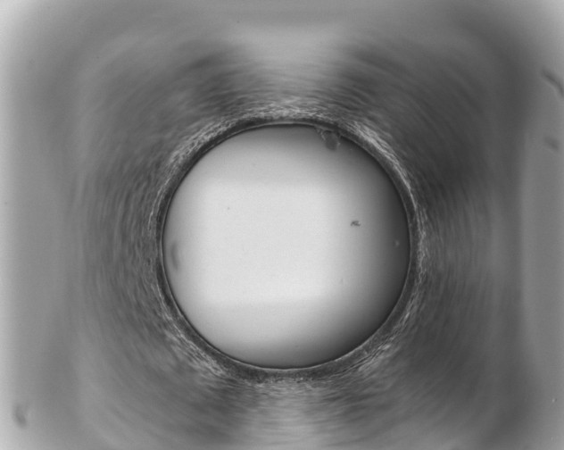 X0000103310673200808291153