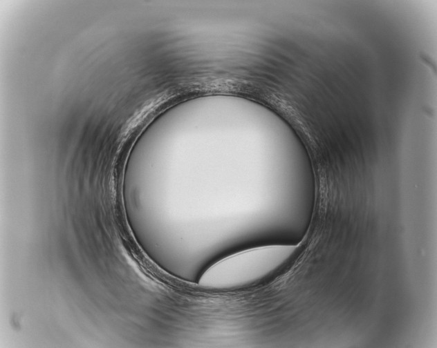 X0000103310674200808291153