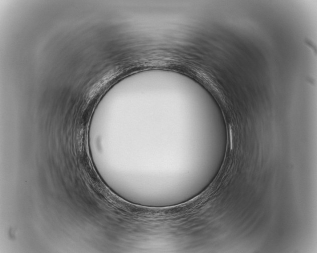 X0000103310675200808291153